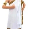 Boys Caesar Toga