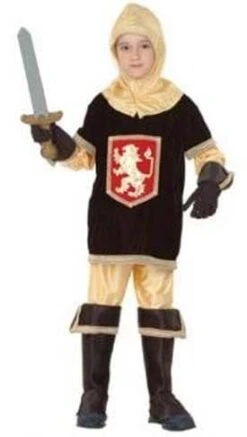 Boys Knight Fancy Dress Costume