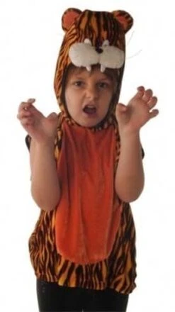 Childs Tiger Fancy Dress