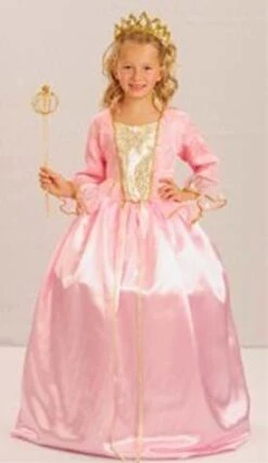 Girls Princess/Cinderella Costume