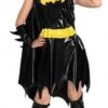 Licensed Batgirl Costume